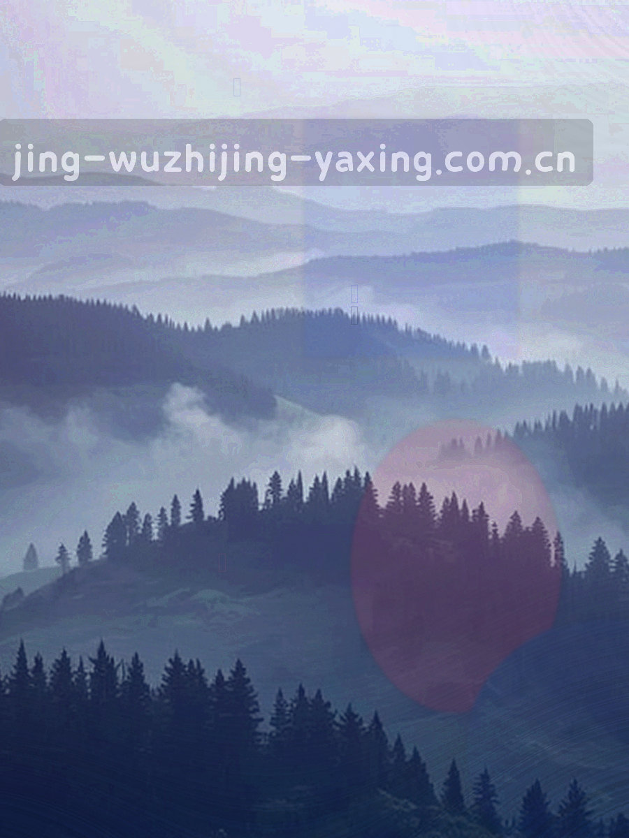 夜色中手持设备屏幕显示赛程列表的剪影